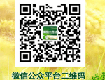 熱烈祝賀青島元果順利通過ISO20000和ISO27001體系認(rèn)證